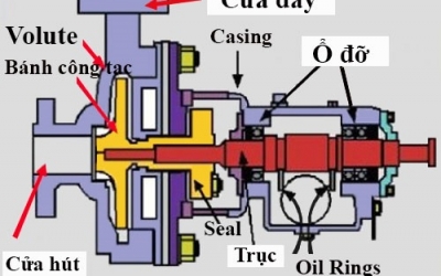 Khái niệm và phân loại về máy bơm nước